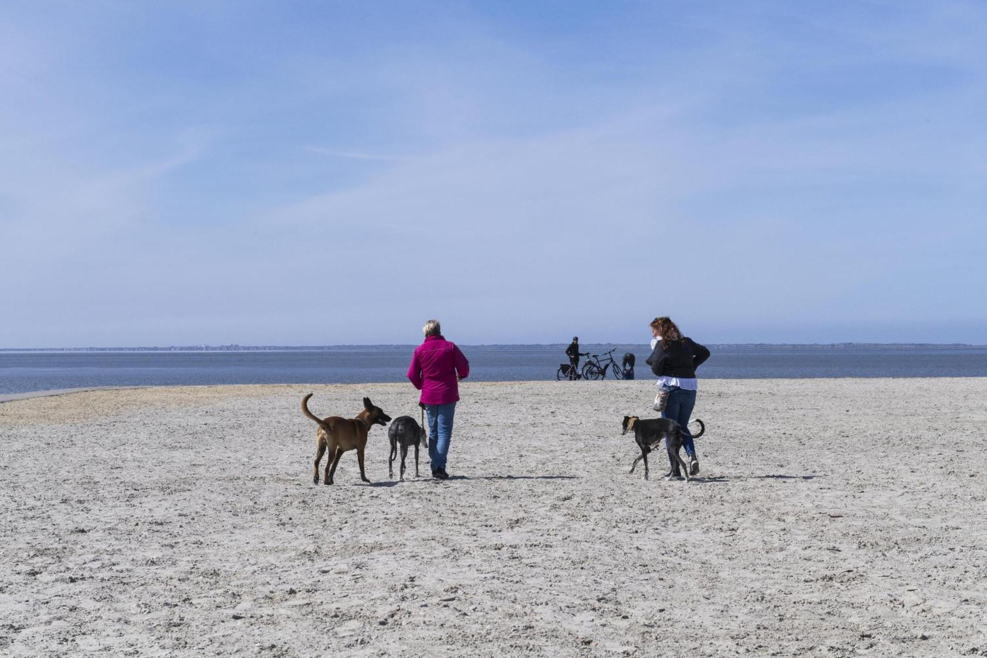Pfoetchenparadies II Geestland 外观 照片